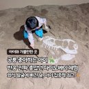 용인우체국 (B1~4층) | 용인 다이노베이 체험후기 | 공룡 좋아하는 아이라면 꼭 가볼만한 실내 체험