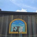 매정목장 이미지