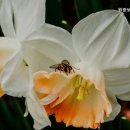 원광보은의집 이미지