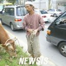 소한마리 이미지