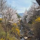 호서택시 이미지