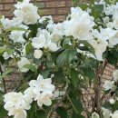 연수바른약국 | 아니 벌써~유월이에유~6️⃣