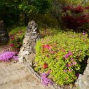 버들농원 이미지