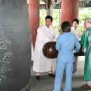 황금바늘 이미지