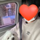 엘케이동물병원 이미지