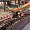 숲또래 협동조합 | 아이의 시선으로 본 충주 나무숲놀이터: 아빠는 못 들어가는 비밀의 성? 아이 혼자서도 안전한 숲속...