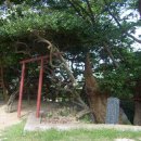 망일사 - 1385 | 망일사