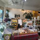 학교앞 카페 이미지