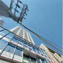 레푸스n바바 이미지