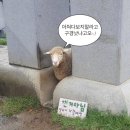 오타쿠 이미지