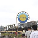 서치강물 네이버블로그