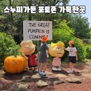 세번째 계절 | 제주 아이와 가볼만한 곳 스누피가든 세번째 방문 후기! 반려동물 동반 꿀팁