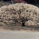 교동3근린공원 네이버블로그