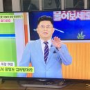 뼈대있는집 이미지