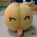 황복농장 네이버블로그