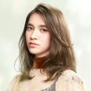 옐로우포레스트