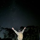 (주)청명투어 | 호주 여행 | 블루마운틴 셀프투어 선셋 별보기 스팟, 페더데일 동물원, 에코포인트 가는법 및 정보