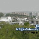 선화예술고등학교 Daum카페