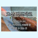 거북 파크 | 경기 실내 동물원 다양한 먹이체험 가볼만한 곳 추천 오산 버드파크 방문 후기