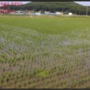 시뫼마을 경로당 이미지