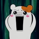 요지트 이미지