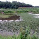 대물낚시 이미지