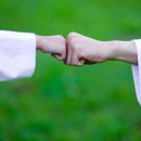 리틀아이 태권도장 이미지