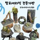 녹색주의보 이미지