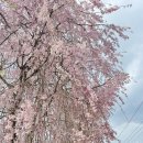 남상면-34 이미지