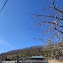 진주 창애정 네이버블로그