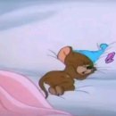 건강과땀 휘트니스 화정 이미지