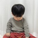 비비붕붕