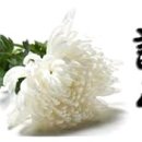 일심반점 이미지