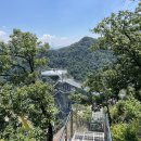 출렁다리 이미지