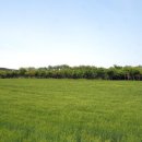 태신목장 이미지