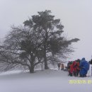 진고개목장 이미지