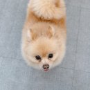세림동물병원 이미지