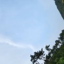 6.7.수.국립예산치유의 숲 평일 걷기연수 동호인과 갔다.더운 열기가 식지않은 퇴근길 숲은 시원한 바람으로 우릴 맞이해준듯 가슴이 확~ 이미지