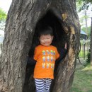 대연목장 이미지