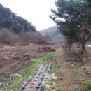 행복한전원공인중개사사무소 이미지