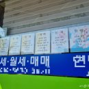 청운개발 머니투데이