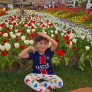 최대섭대박김밥 | 에버랜드 전국 김밥 강원도 최대섭 대박 김밥 후기