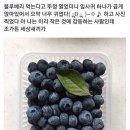 재미나 이미지