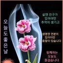 행복한하루 이미지