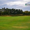 CC카써비스 | 제주 에버리스cc 예약 봄에 꼭 간다는 제주도 골프장 부킹 후기