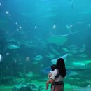 다온다 노래연습장 이미지