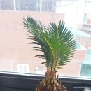 김선희 GX휘트니스 이미지