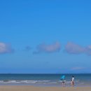 생생왕꽃게 이미지