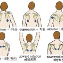 본앤장한의원 네이버블로그