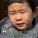 슈가탠